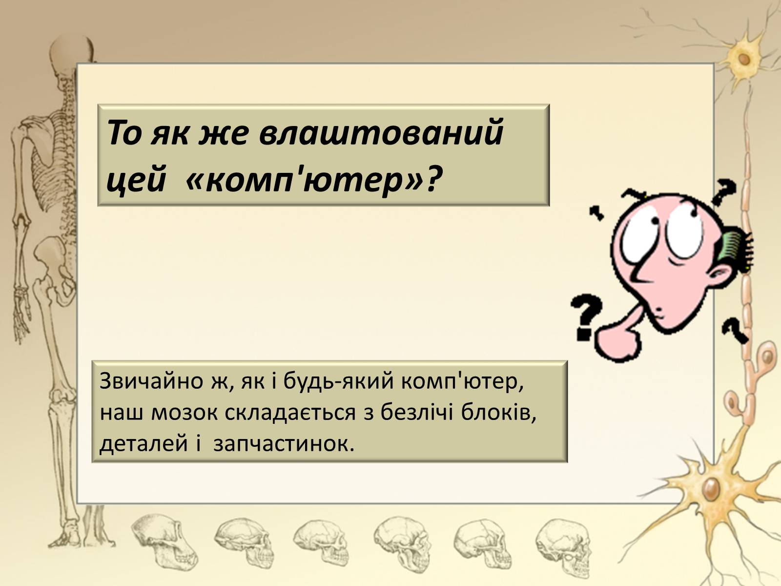 Презентація на тему «Будова і функції головного мозку. Загальна характеристика» - Слайд #15