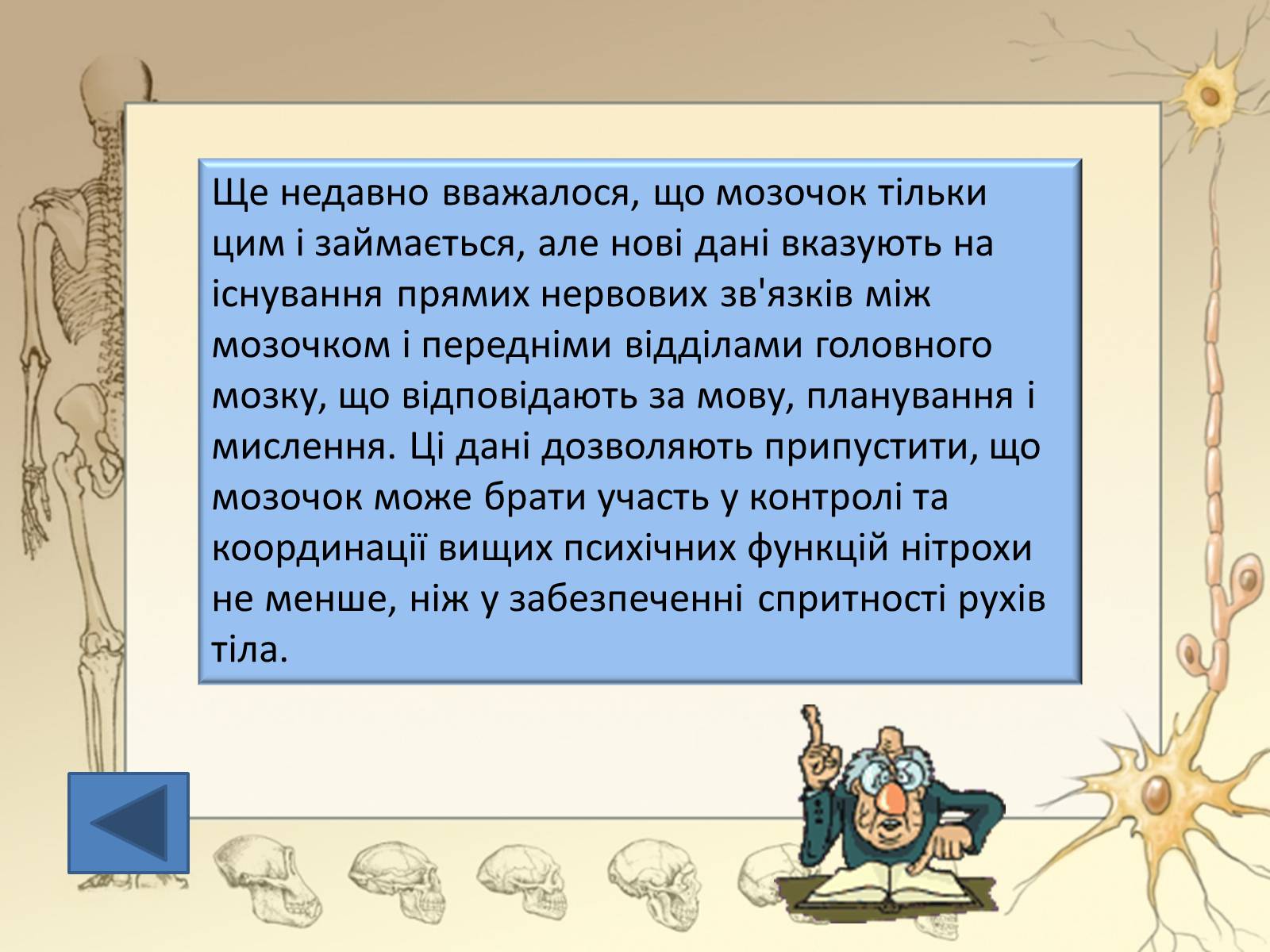 Презентація на тему «Будова і функції головного мозку. Загальна характеристика» - Слайд #26