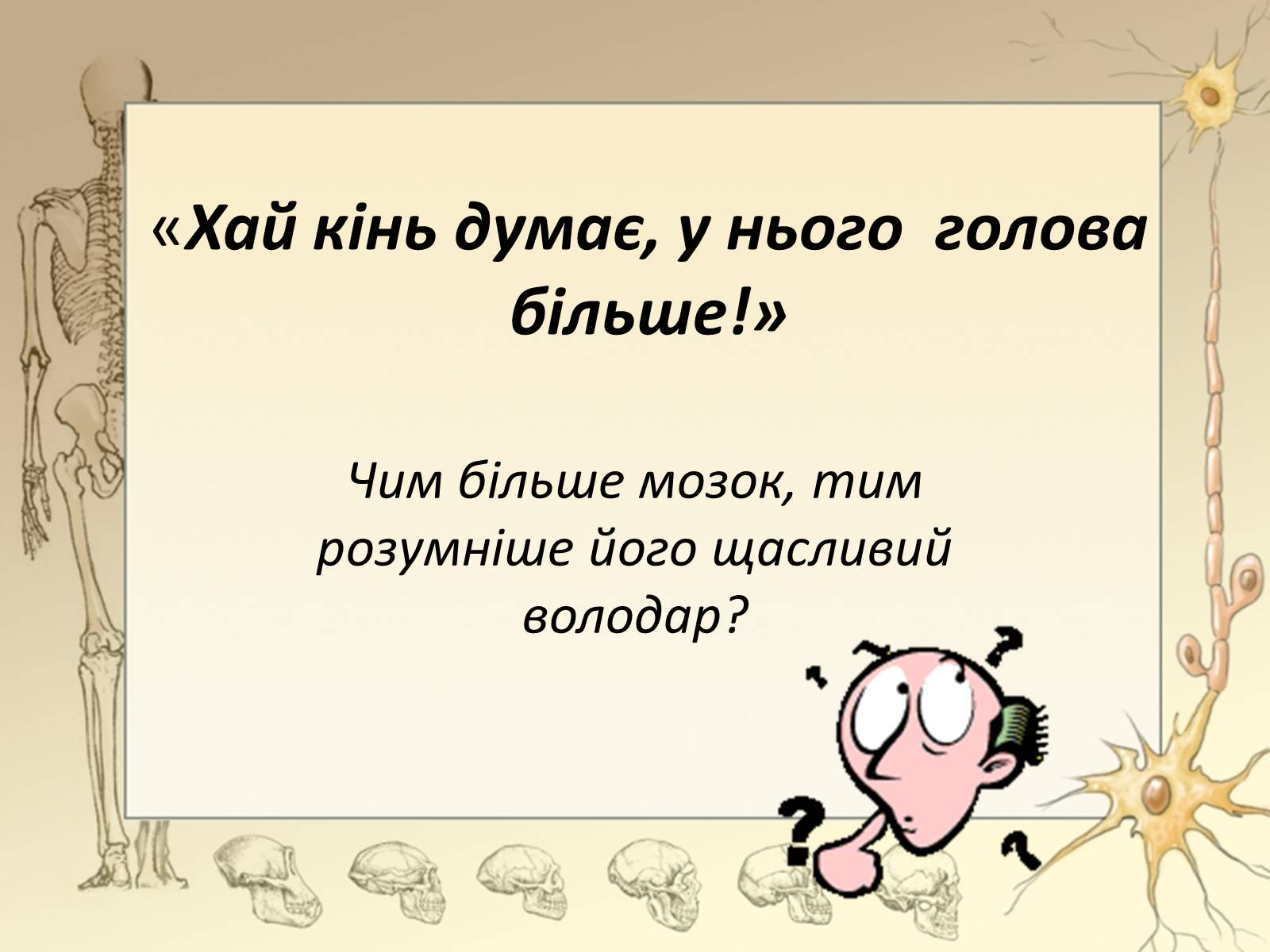 Презентація на тему «Будова і функції головного мозку. Загальна характеристика» - Слайд #4