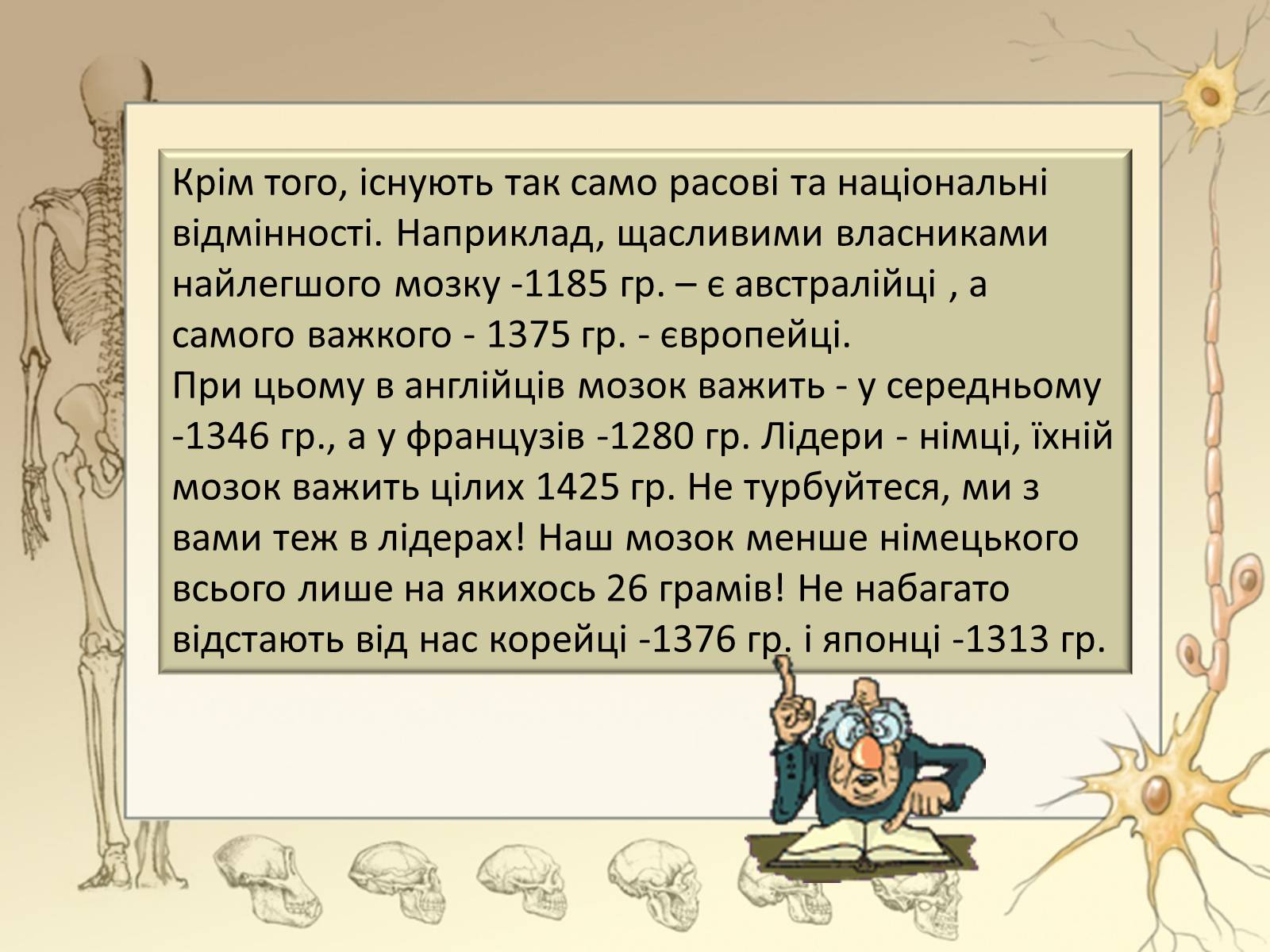 Презентація на тему «Будова і функції головного мозку. Загальна характеристика» - Слайд #9