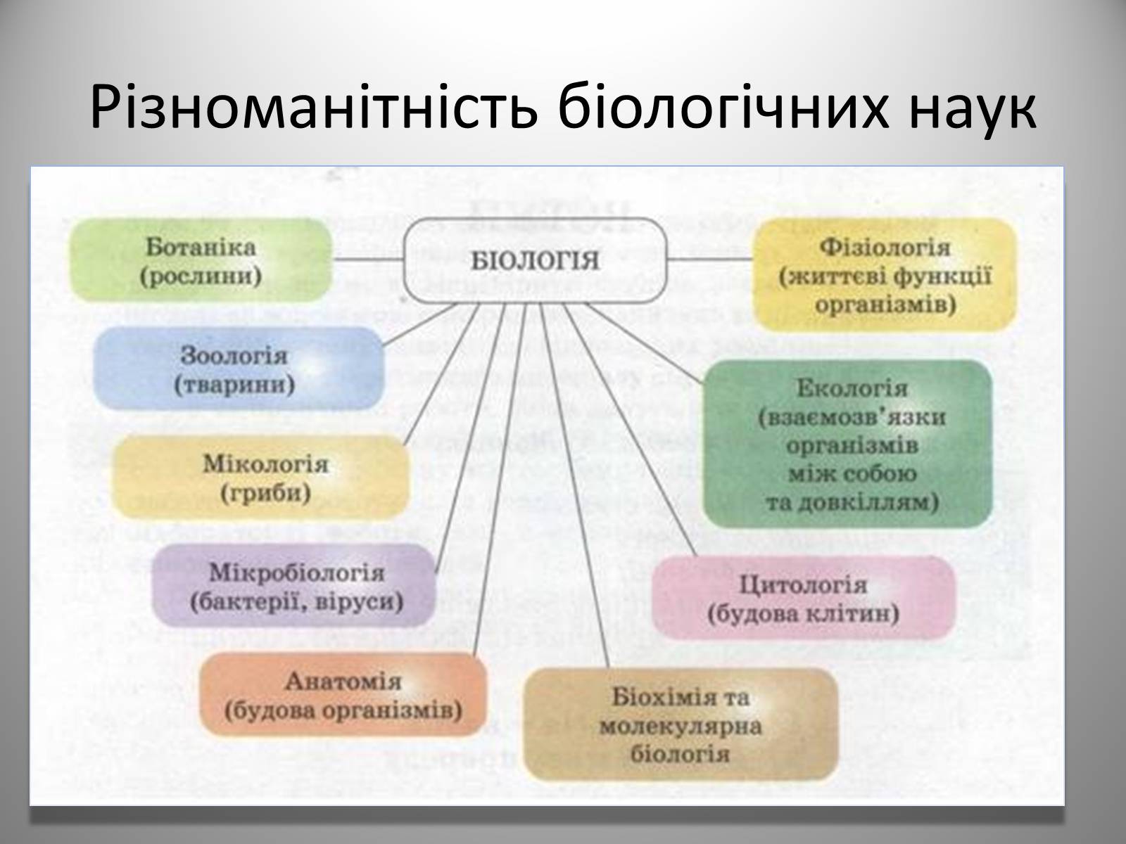 Презентація на тему «Біологія» (варіант 1) - Слайд #4