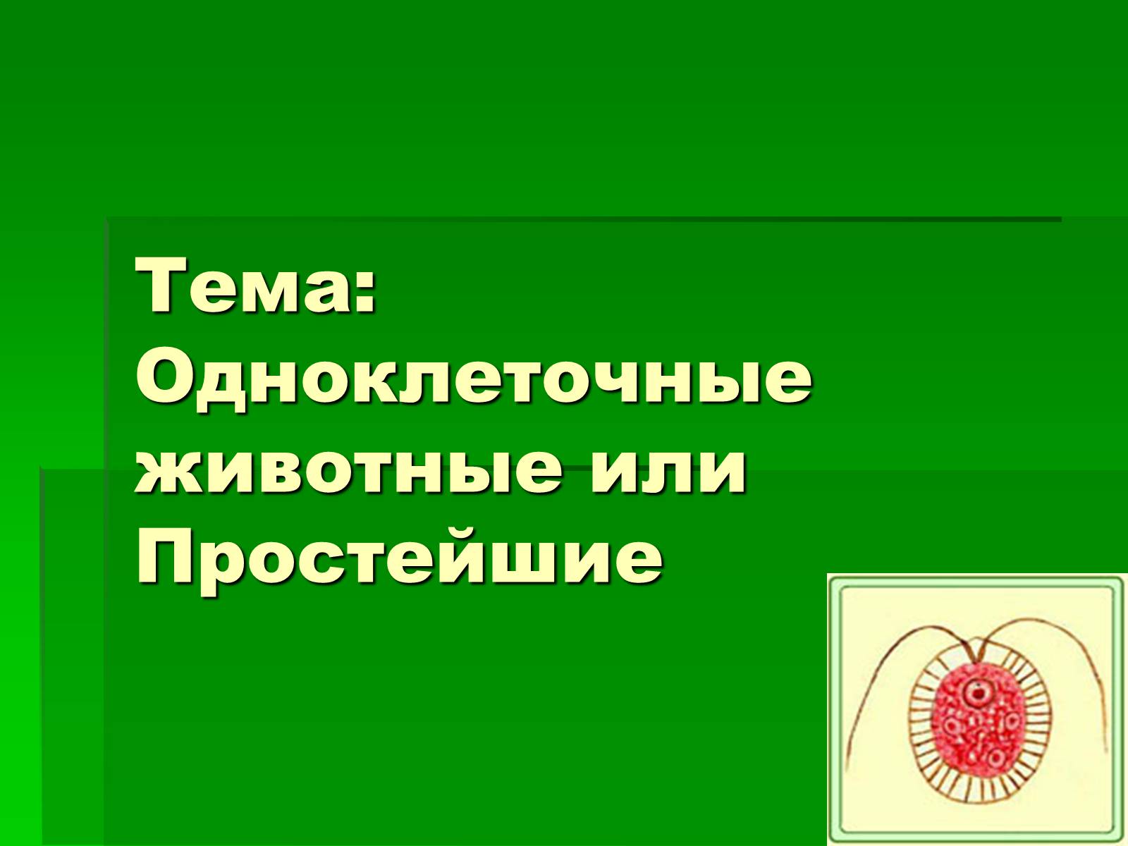 Презентація на тему «Одноклеточные животные или Простейшие» - Слайд #1