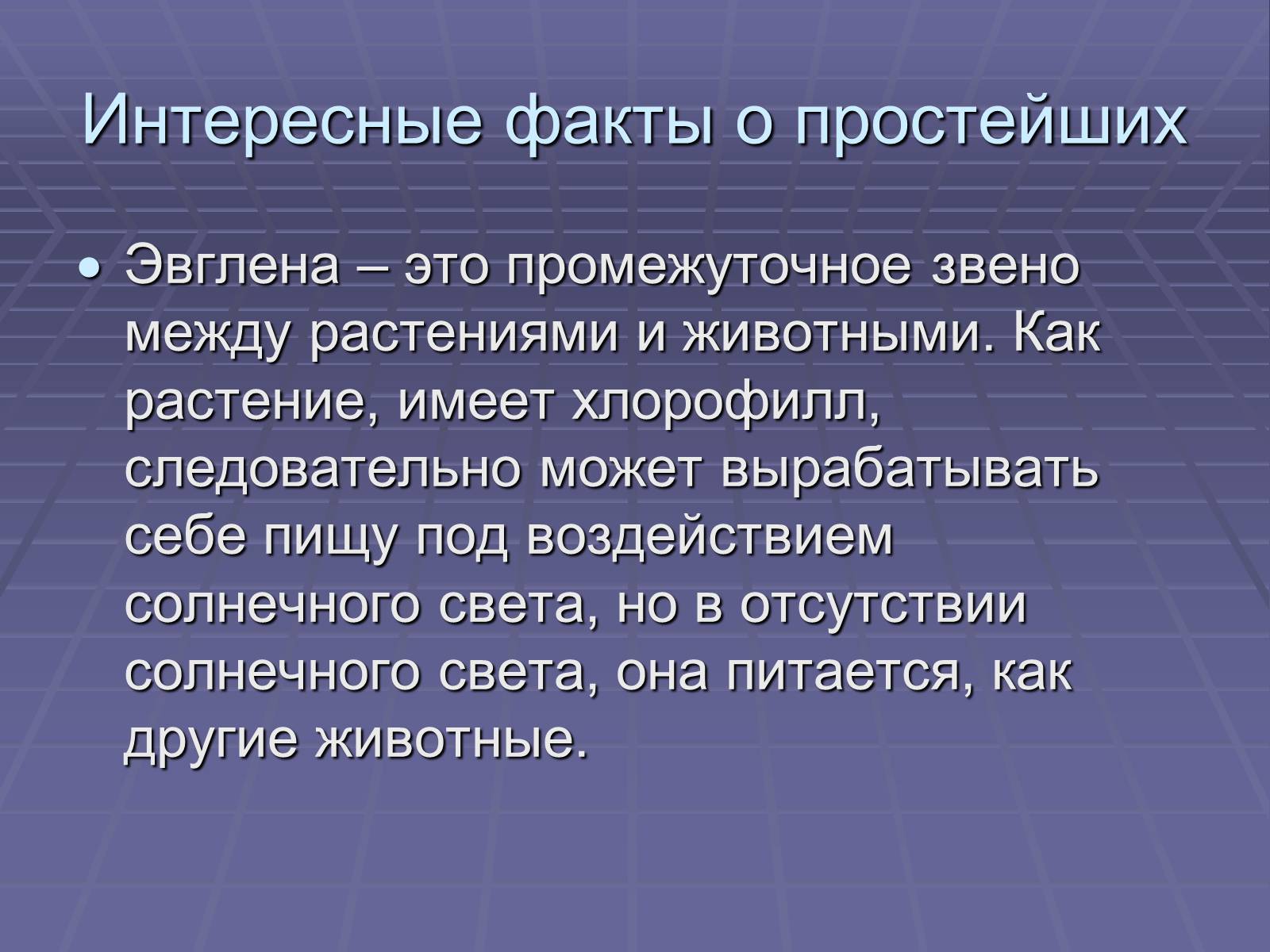 Презентація на тему «Одноклеточные животные или Простейшие» - Слайд #13