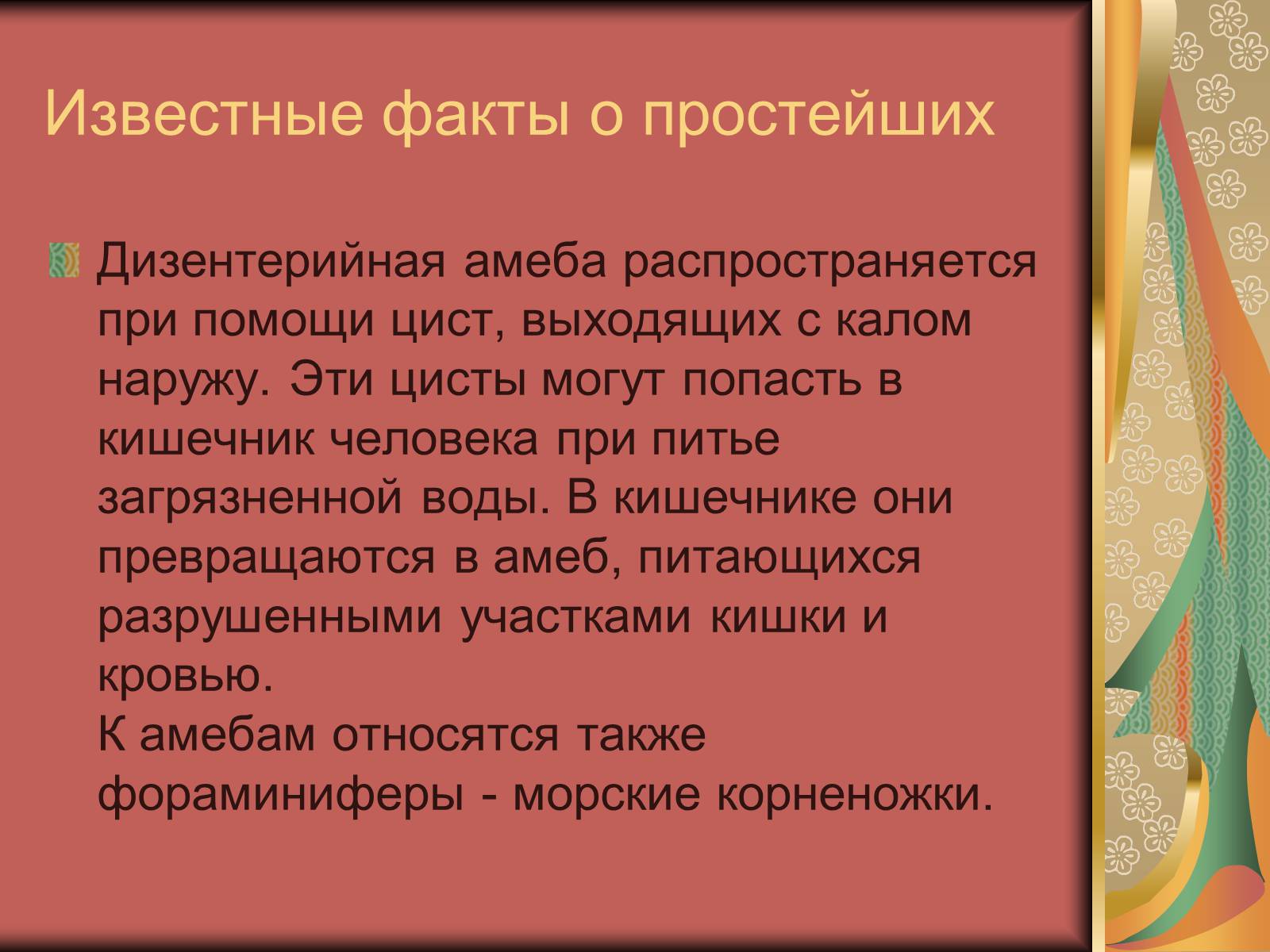 Презентація на тему «Одноклеточные животные или Простейшие» - Слайд #16