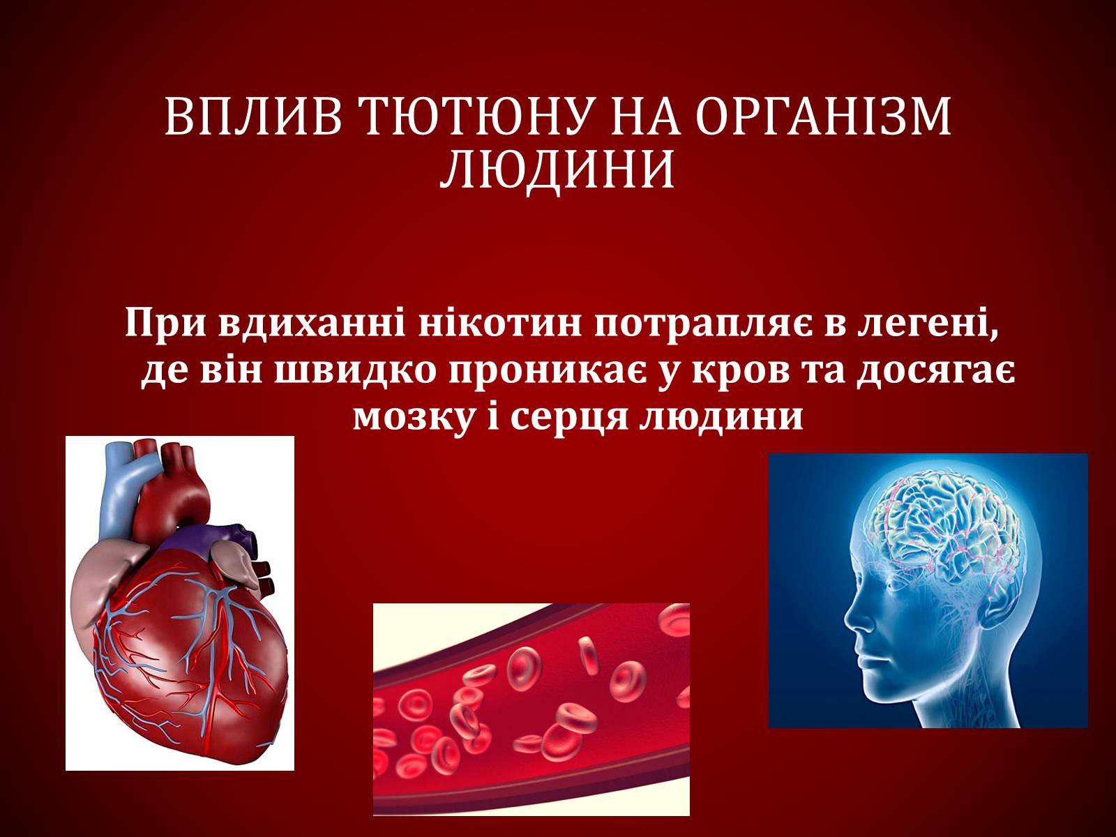 Презентація на тему «Шкідливий вплив тютюнопаління» (варіант 1) - Слайд #18