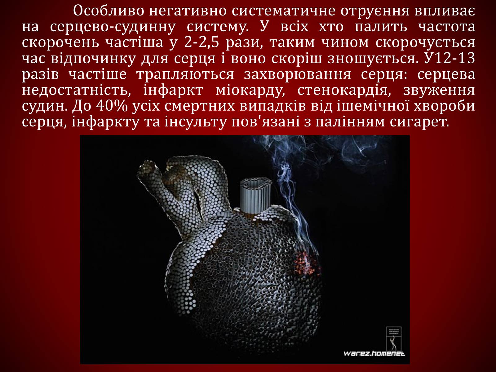 Презентація на тему «Шкідливий вплив тютюнопаління» (варіант 1) - Слайд #26