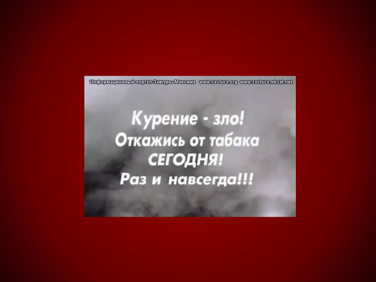 Презентація на тему «Шкідливий вплив тютюнопаління» (варіант 1) - Слайд #36