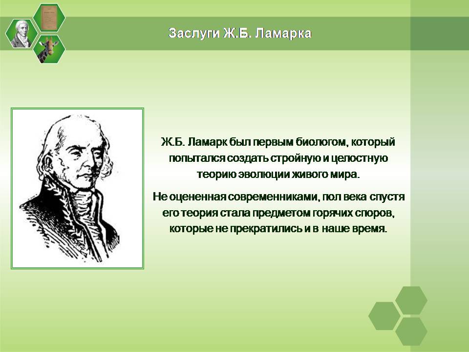Презентація на тему «Жан Батист Ламарк» (варіант 2) - Слайд #7