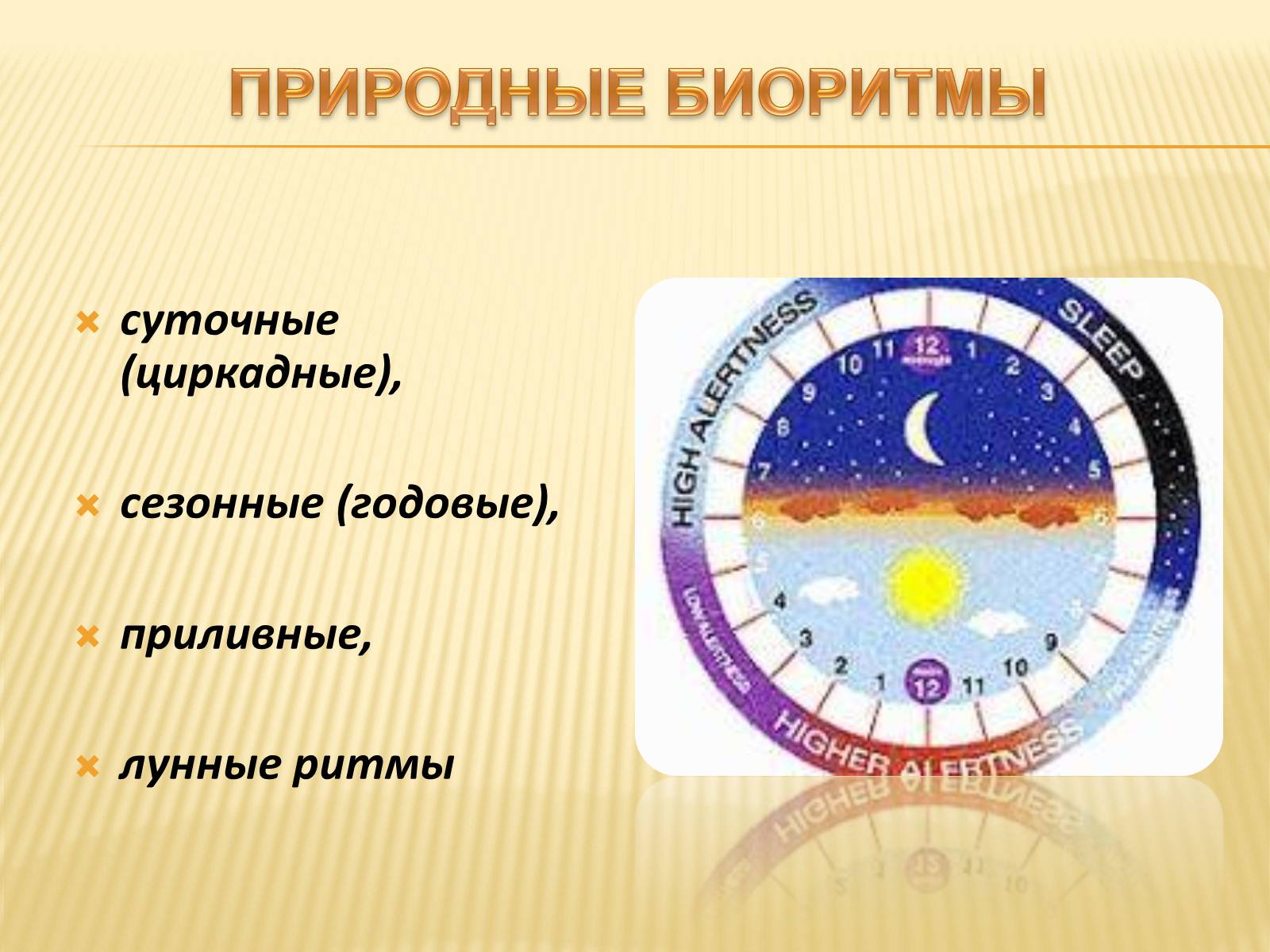 Презентація на тему «Биоритмы человека» - Слайд #9