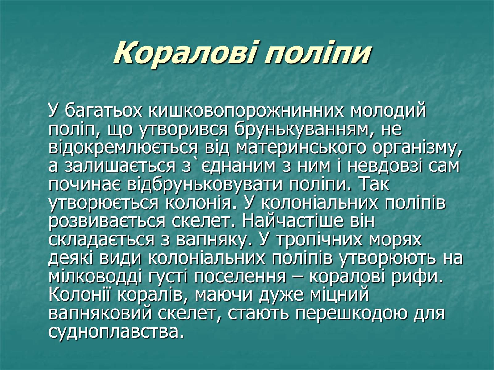 Презентація на тему «Найпростіші багатоклітинні тварини» - Слайд #12