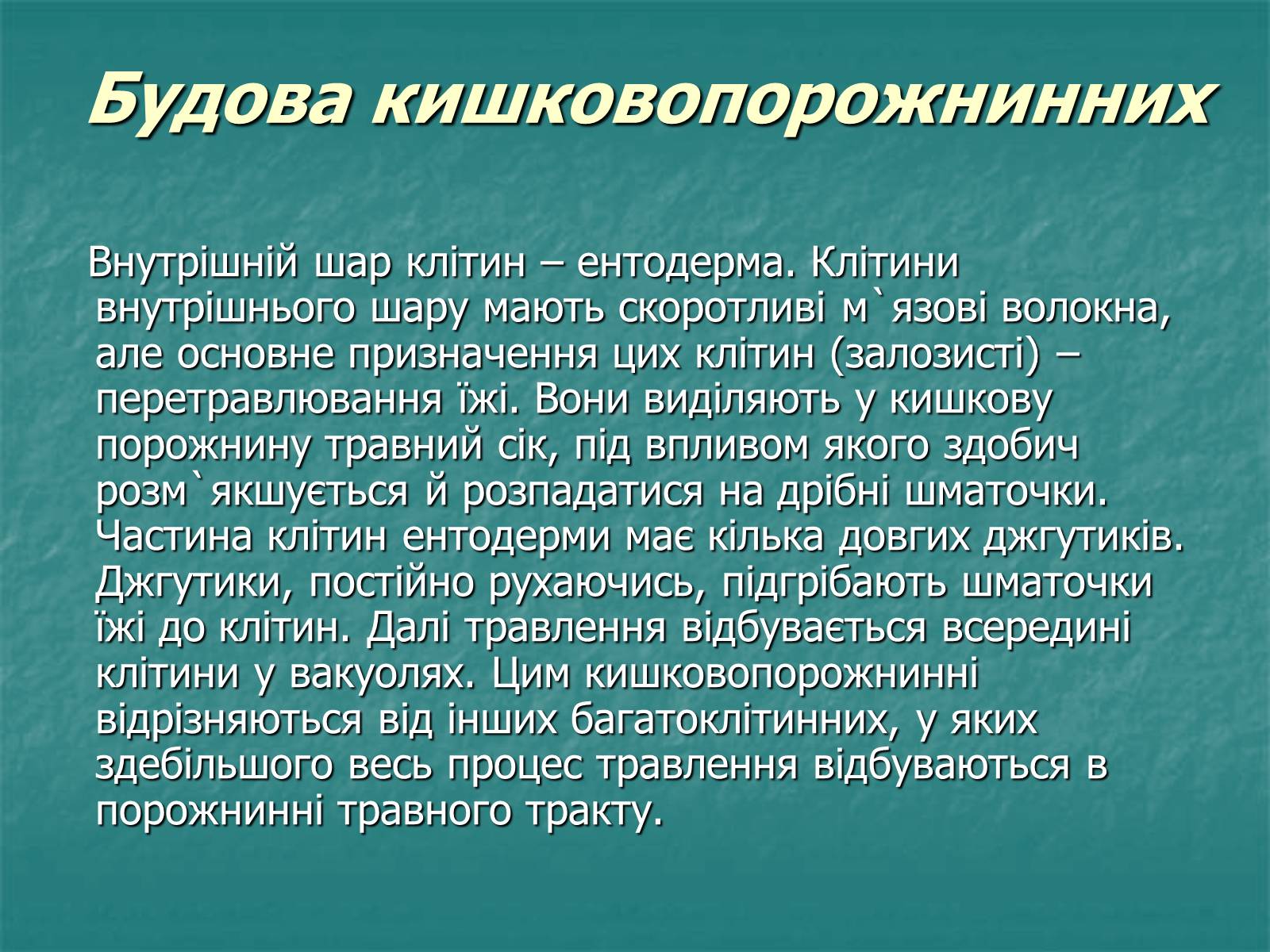 Презентація на тему «Найпростіші багатоклітинні тварини» - Слайд #4