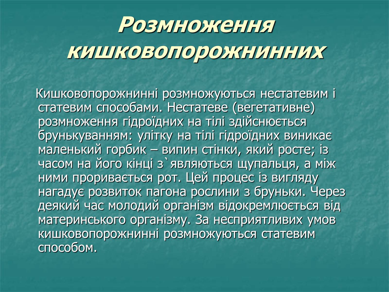 Презентація на тему «Найпростіші багатоклітинні тварини» - Слайд #5