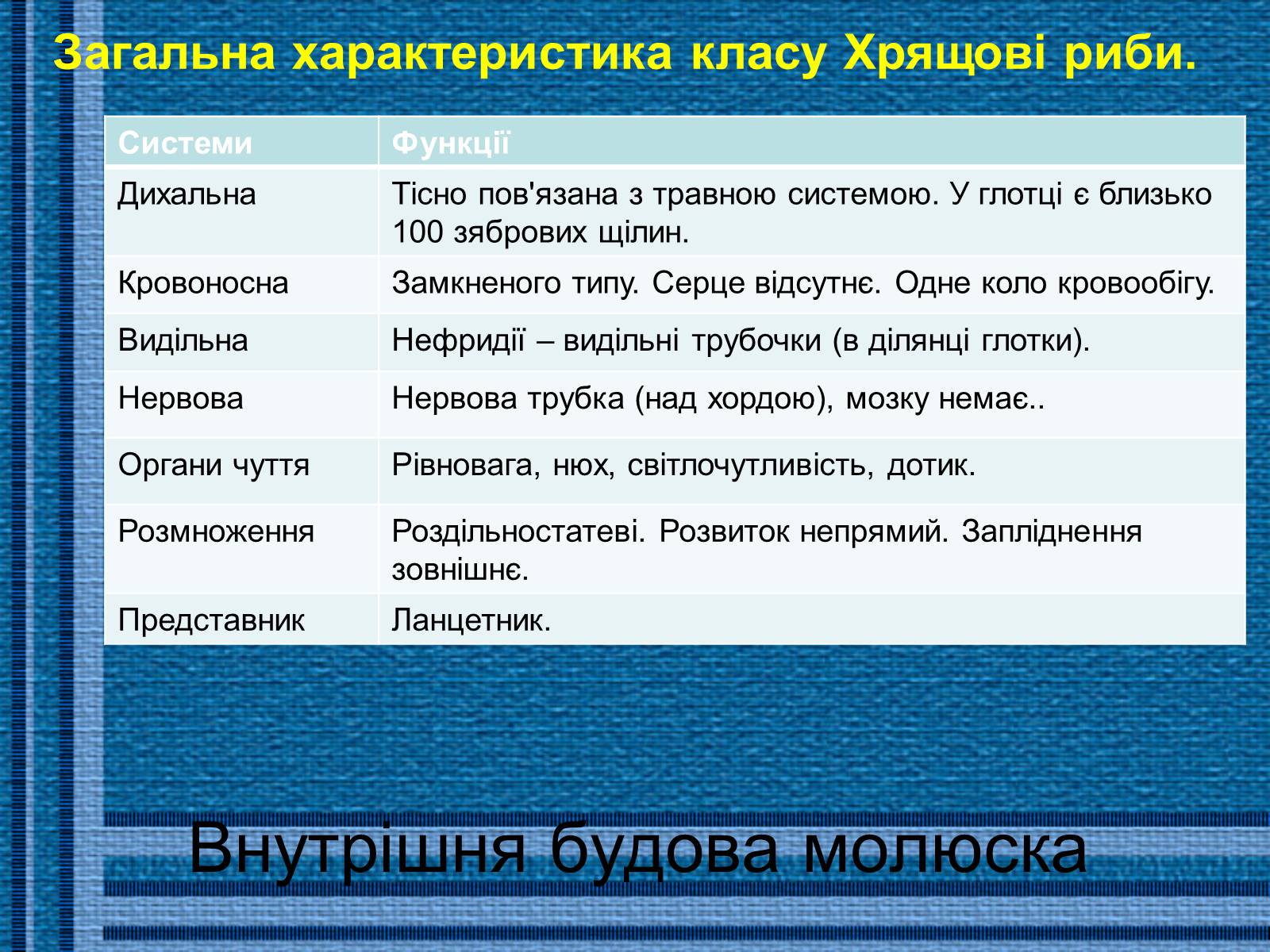 Презентація на тему «Хрящові риби» (варіант 1) - Слайд #8