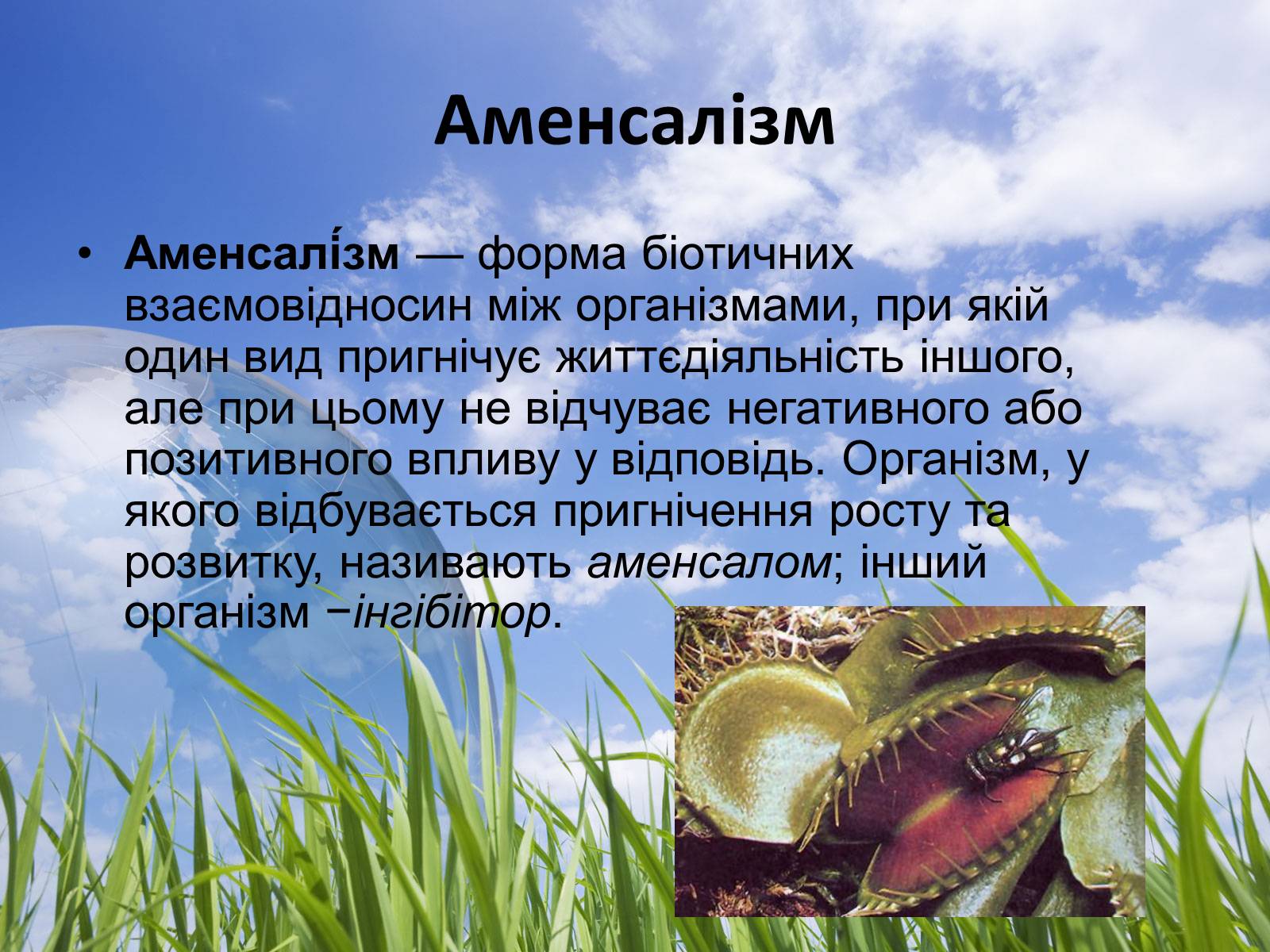 Презентація на тему «Типи взаємодії між живими організмами» - Слайд #6