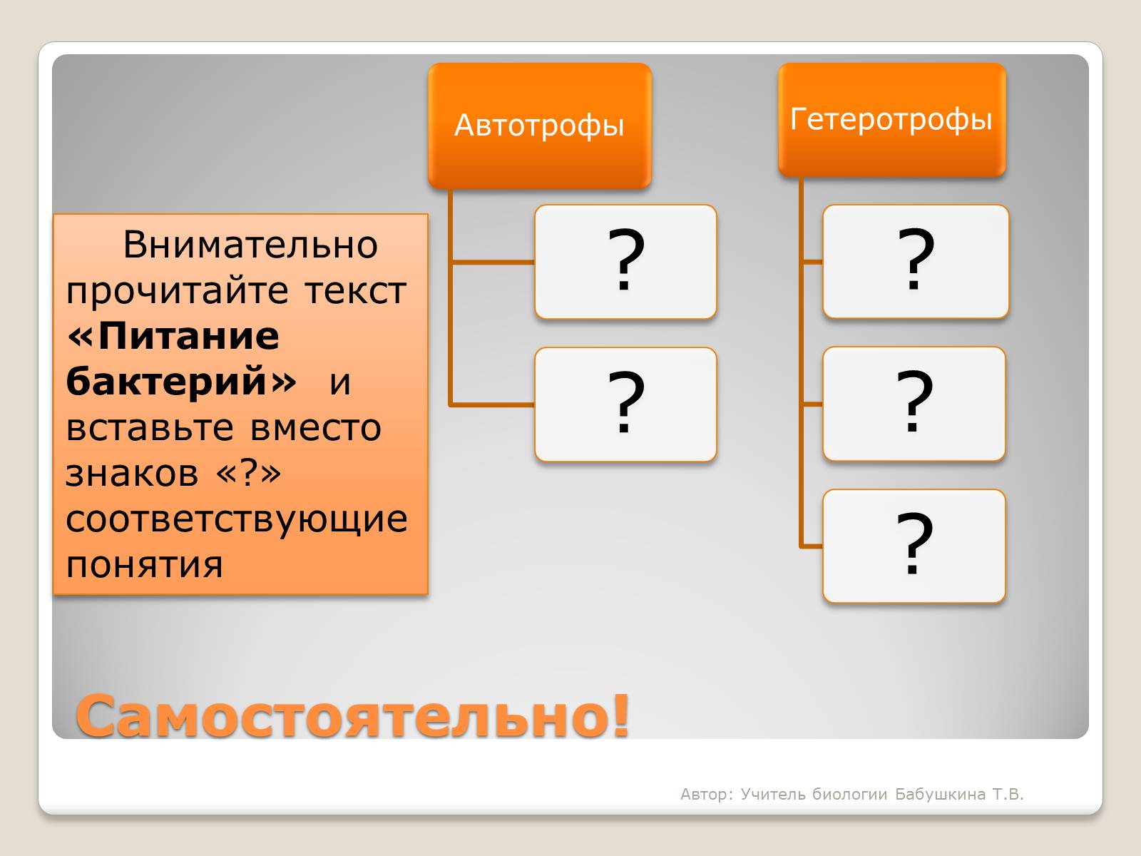 Презентація на тему «Царство Бактерии» - Слайд #10