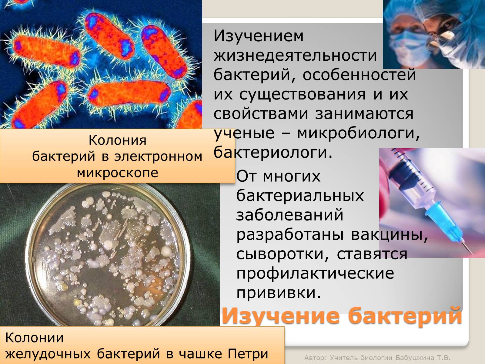 Бактерии можно обнаружить