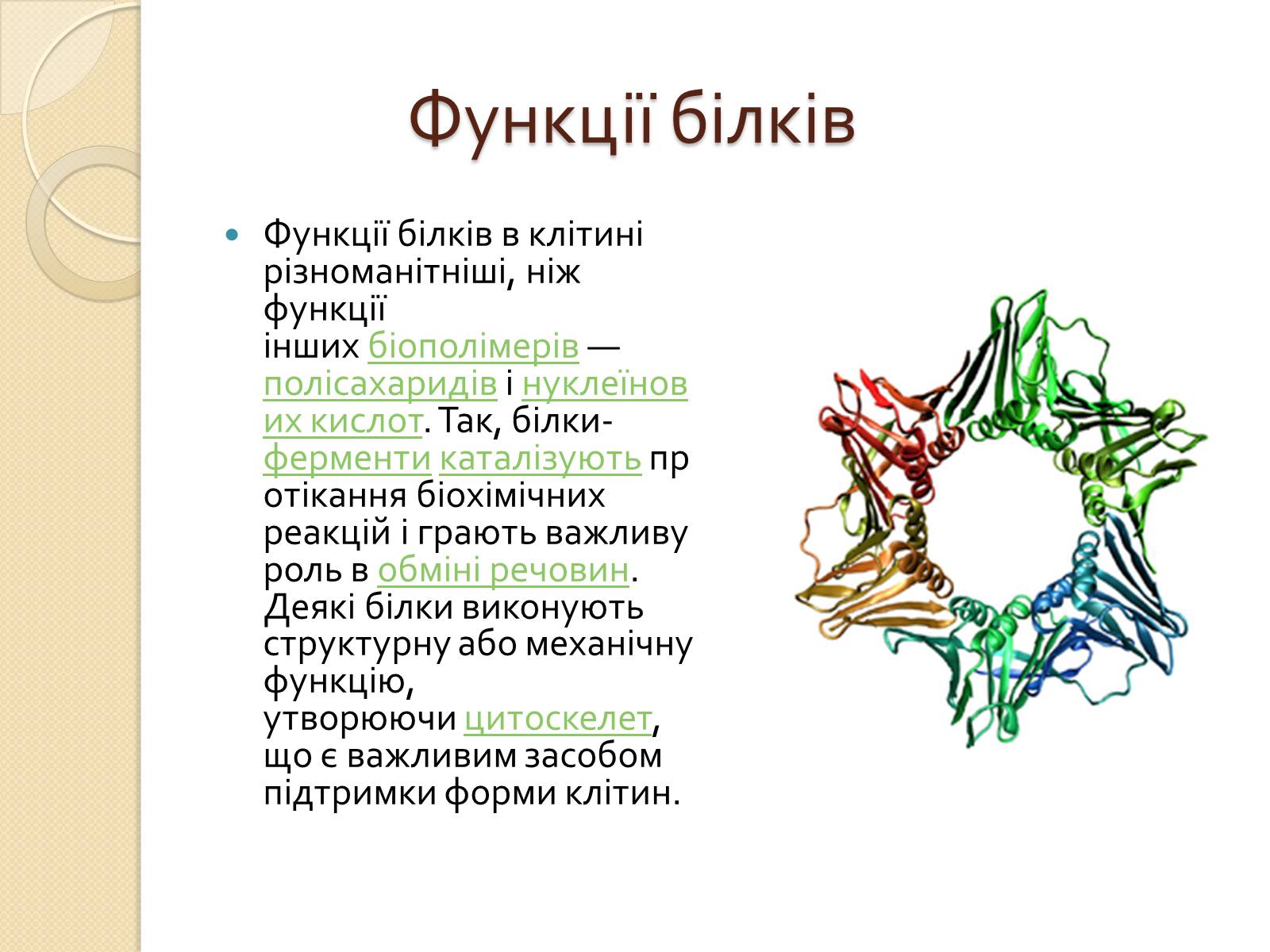 Презентація на тему «Білки. Будова та історія дослідження» - Слайд #3