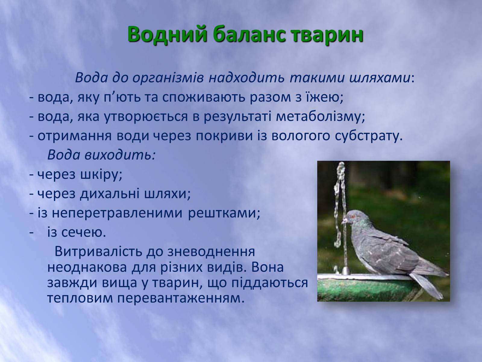 Презентація на тему «Наземно-повітряне середовище життя організмів» - Слайд #23