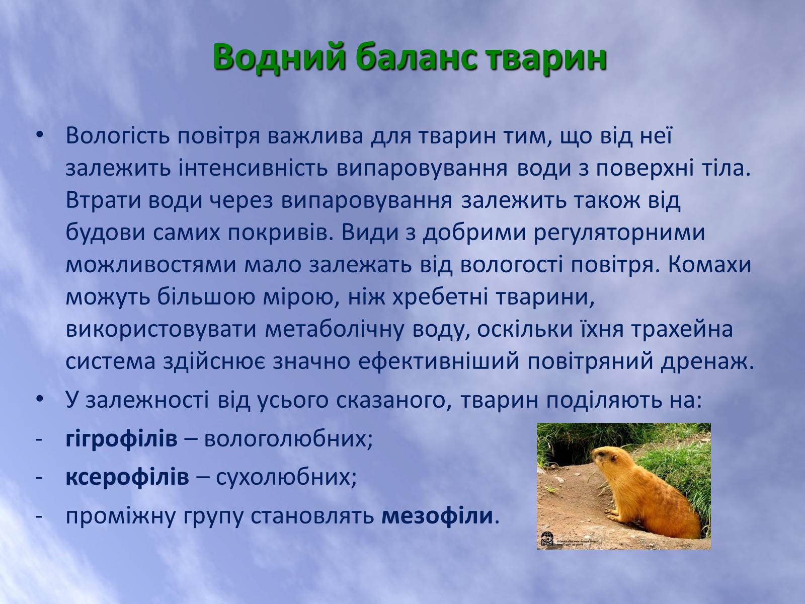 Презентація на тему «Наземно-повітряне середовище життя організмів» - Слайд #24