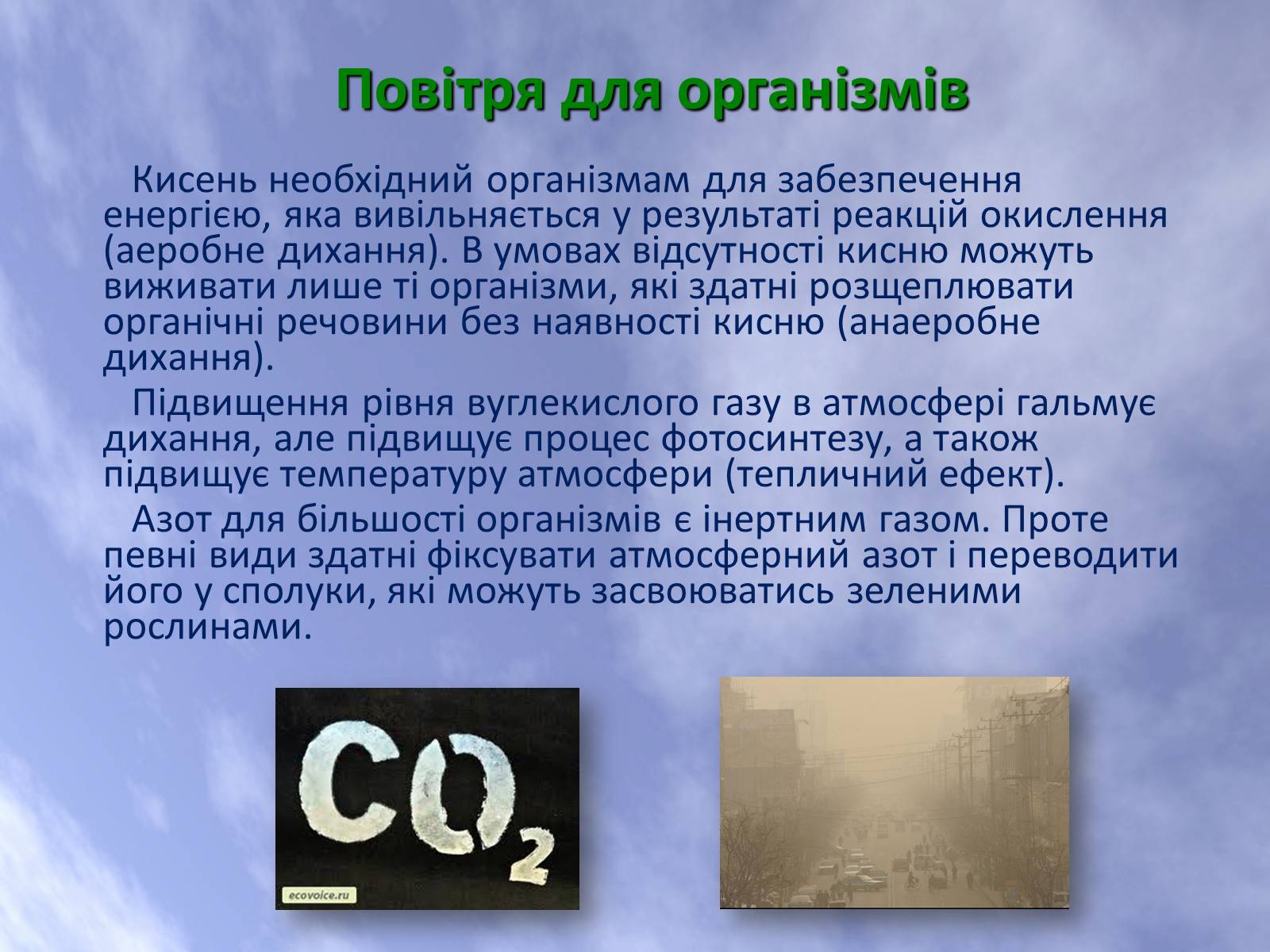 Презентація на тему «Наземно-повітряне середовище життя організмів» - Слайд #26