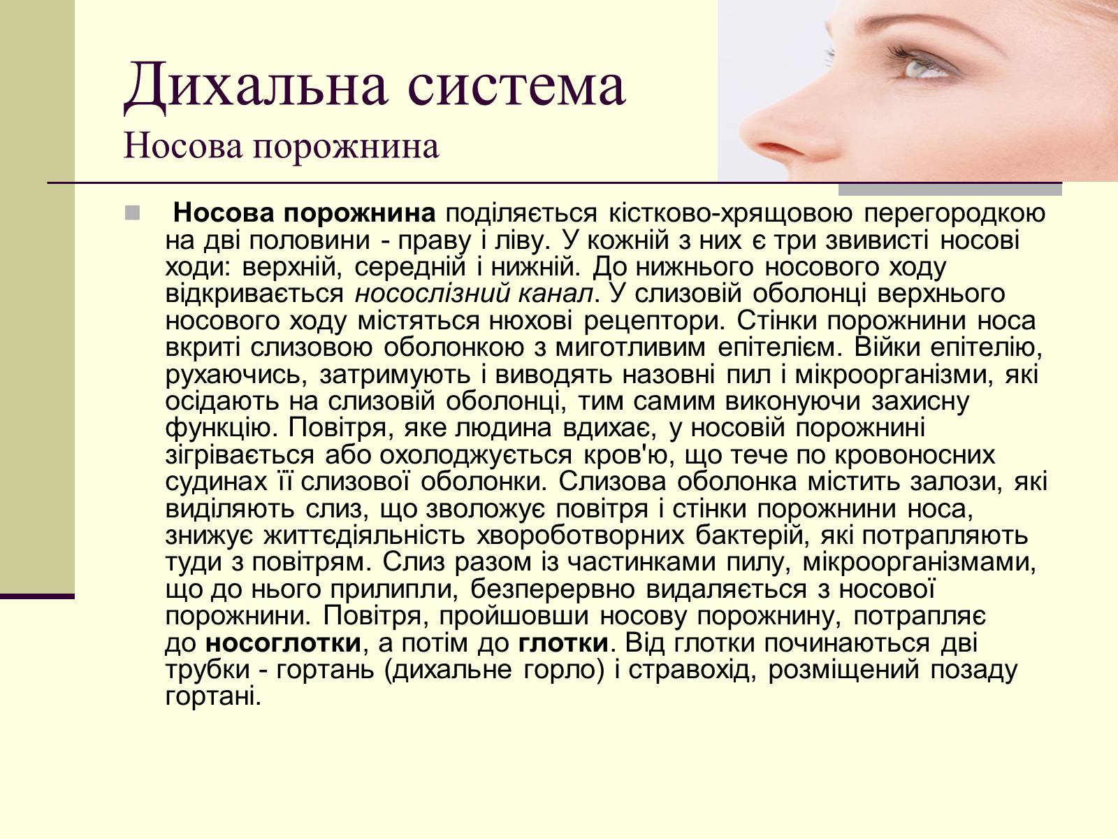 Презентація на тему «Критичні системи організму людини. Дихальна система» - Слайд #6