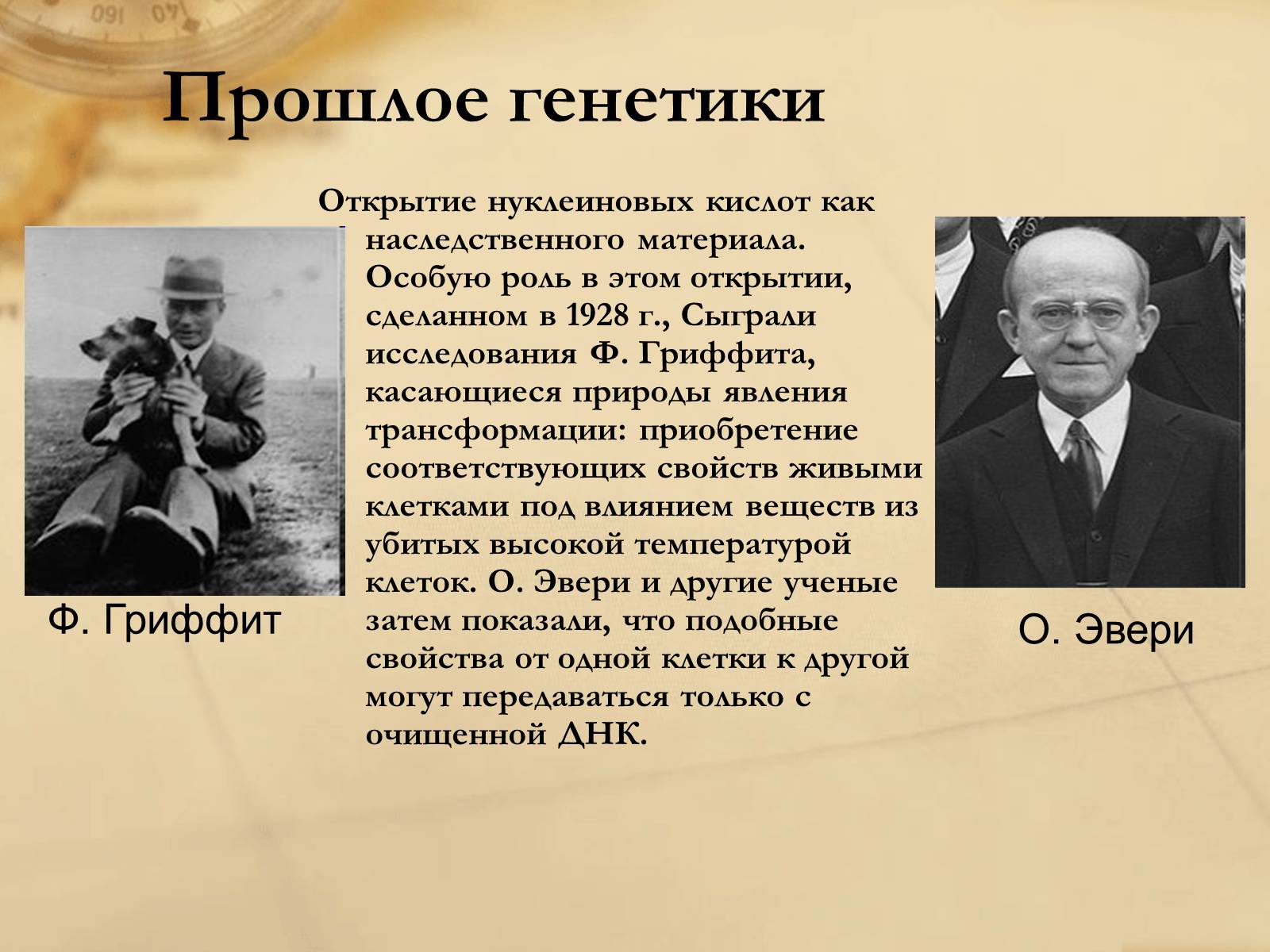 Ученые генетики. Открытие генетики ученые. Известные ученые генетики. Открыватель генетики.