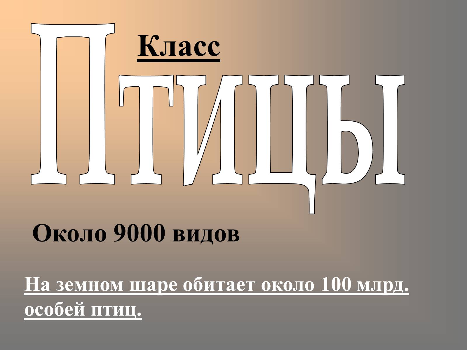 Презентація на тему «Птицы» (варіант 2) - Слайд #1