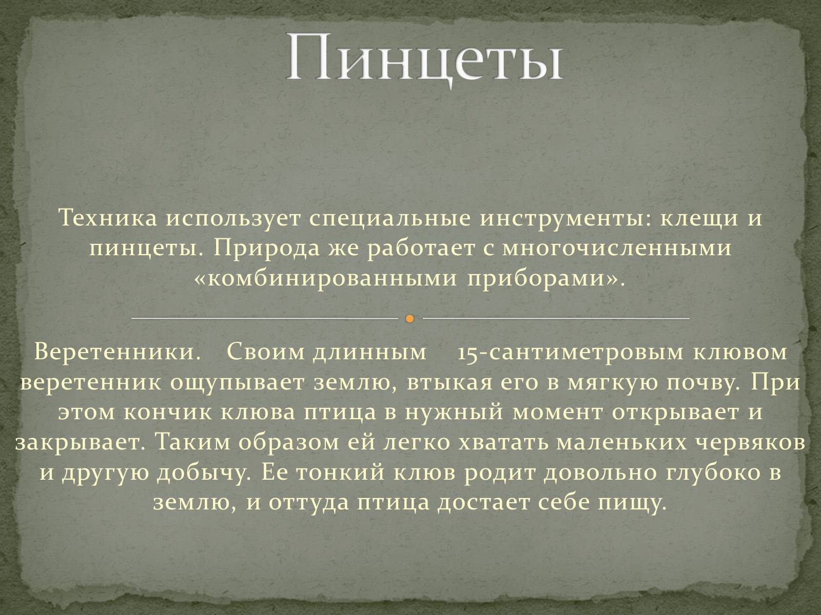 Презентація на тему «Бионика» (варіант 1) - Слайд #13