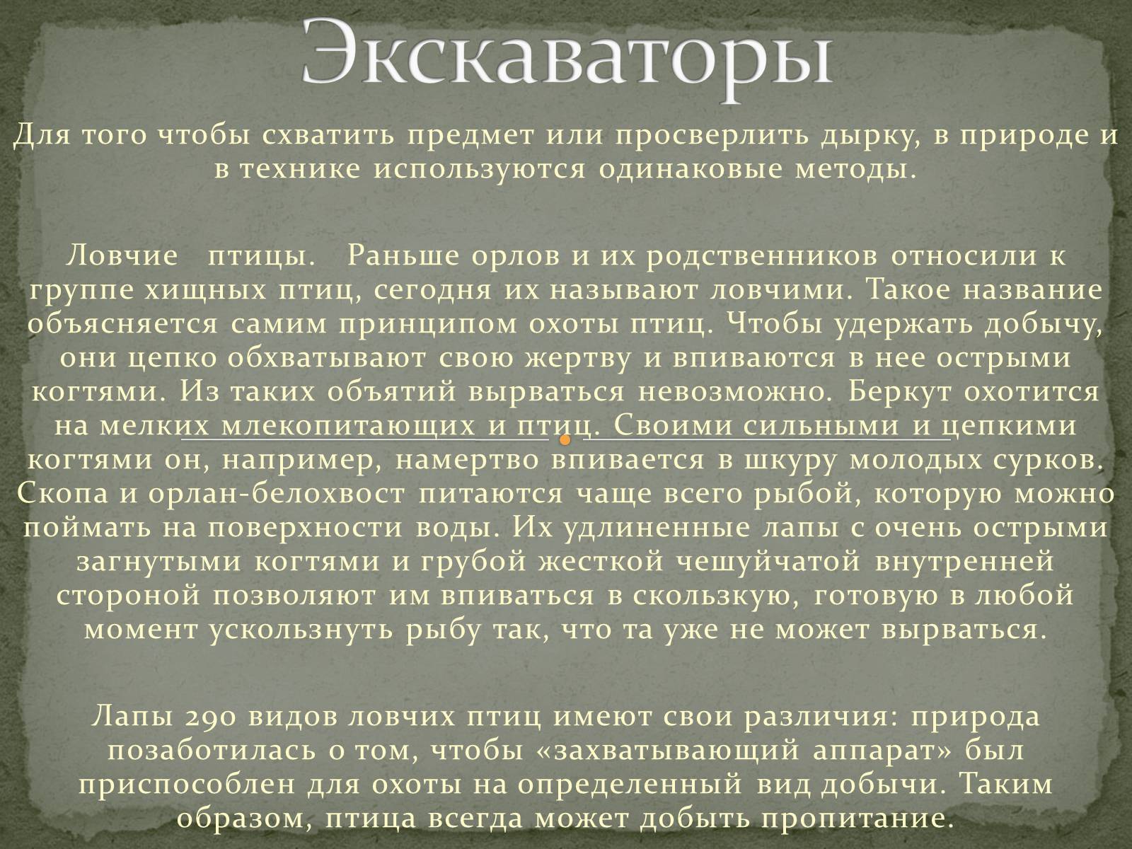 Презентація на тему «Бионика» (варіант 1) - Слайд #7