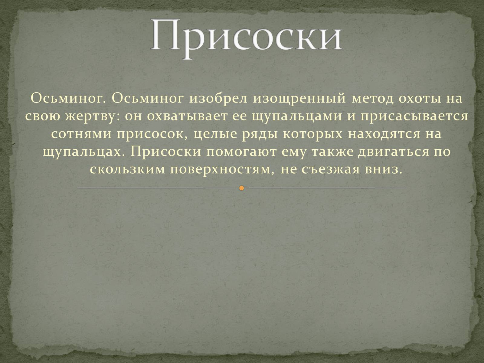 Презентація на тему «Бионика» (варіант 1) - Слайд #9