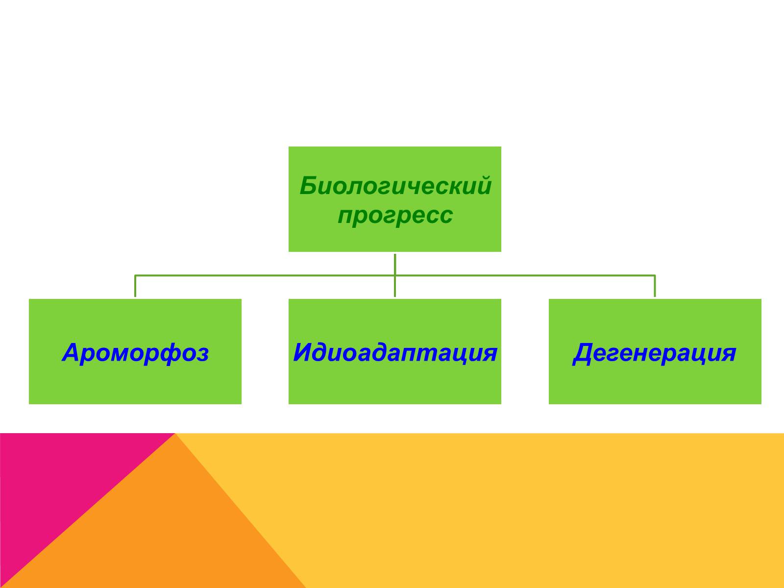 Презентація на тему «Эволюция» - Слайд #14