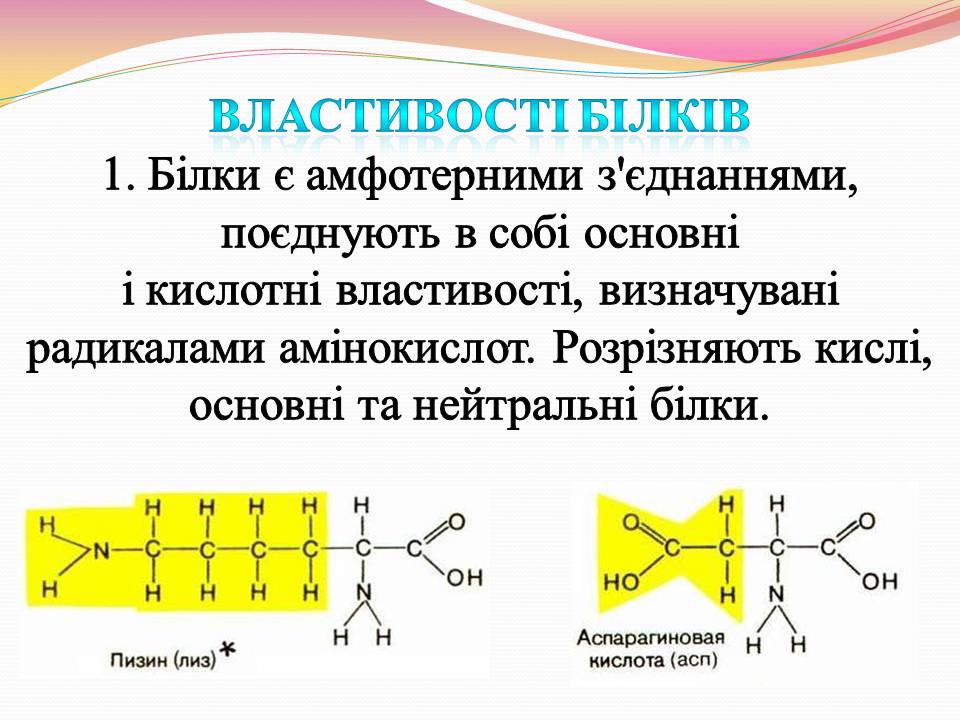 Презентація на тему «Білки. Властивості та функції» - Слайд #2