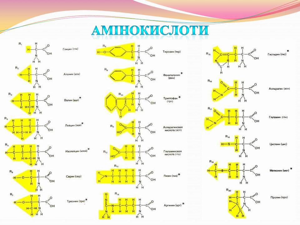 Презентація на тему «Білки. Властивості та функції» - Слайд #3