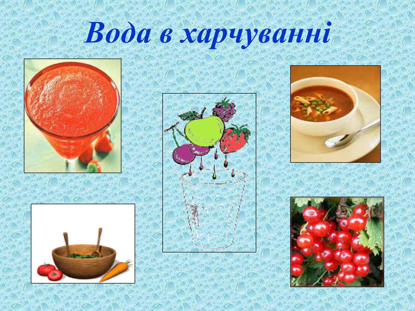 Презентація на тему «Вода в організмах» (варіант 2) - Слайд #7