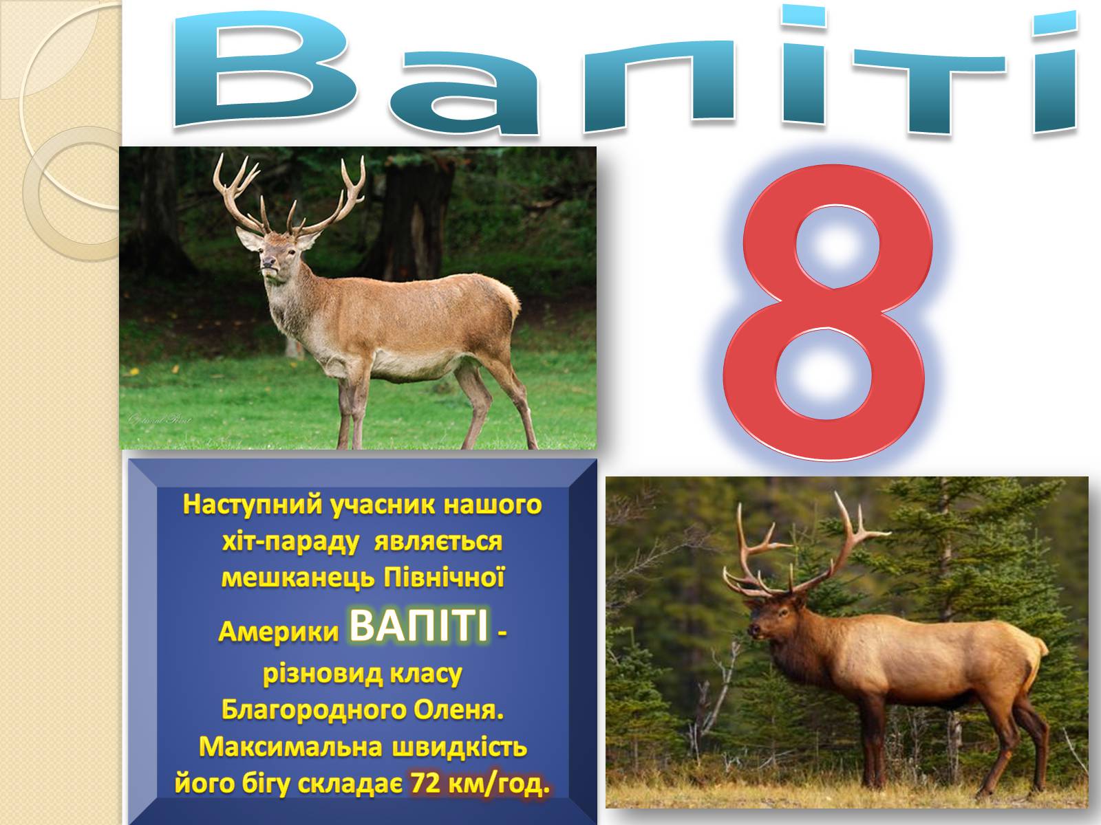 Презентація на тему «Топ-10 найшвидших тварини планети» - Слайд #4