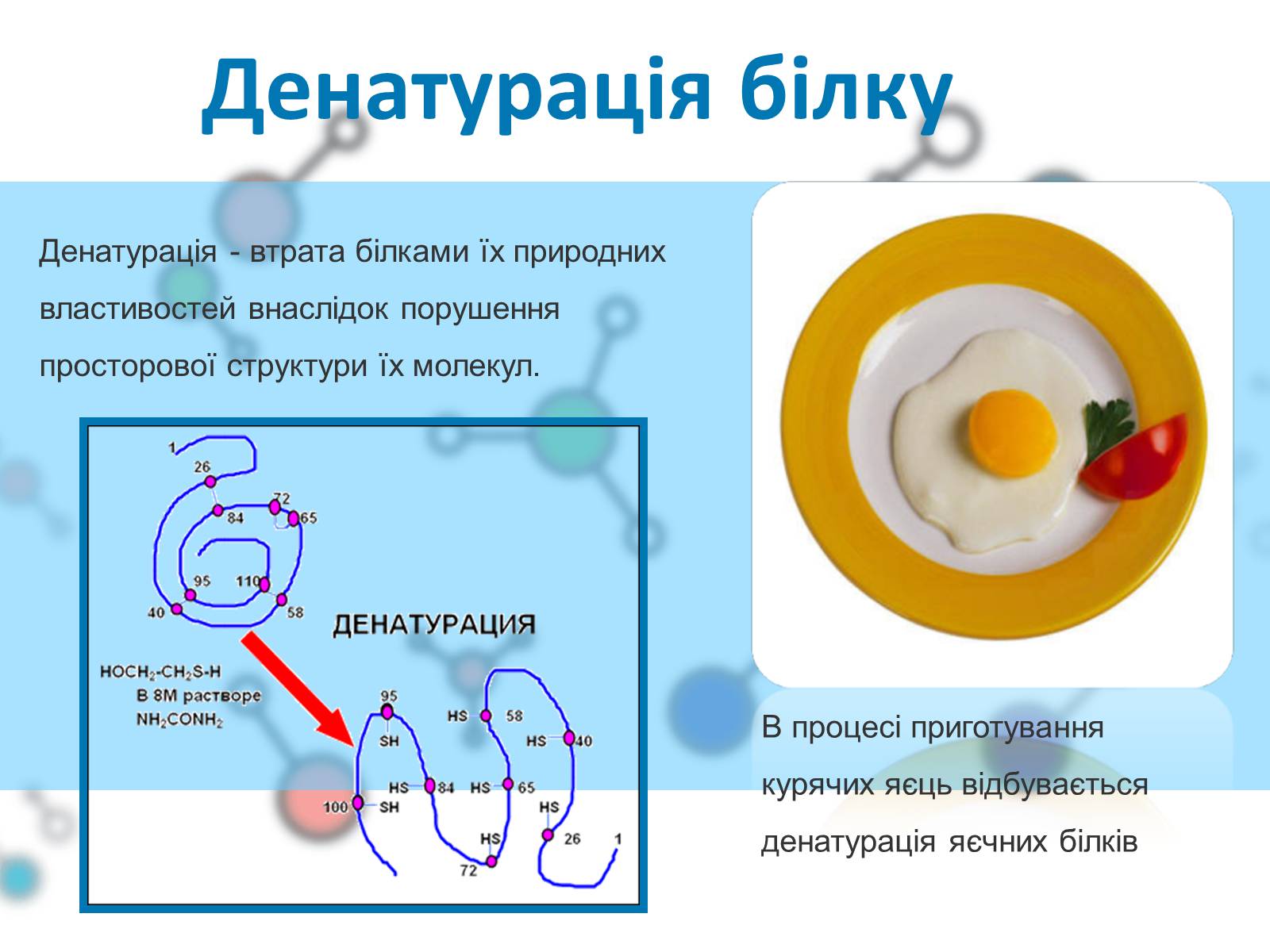 Процессы денатурации белков