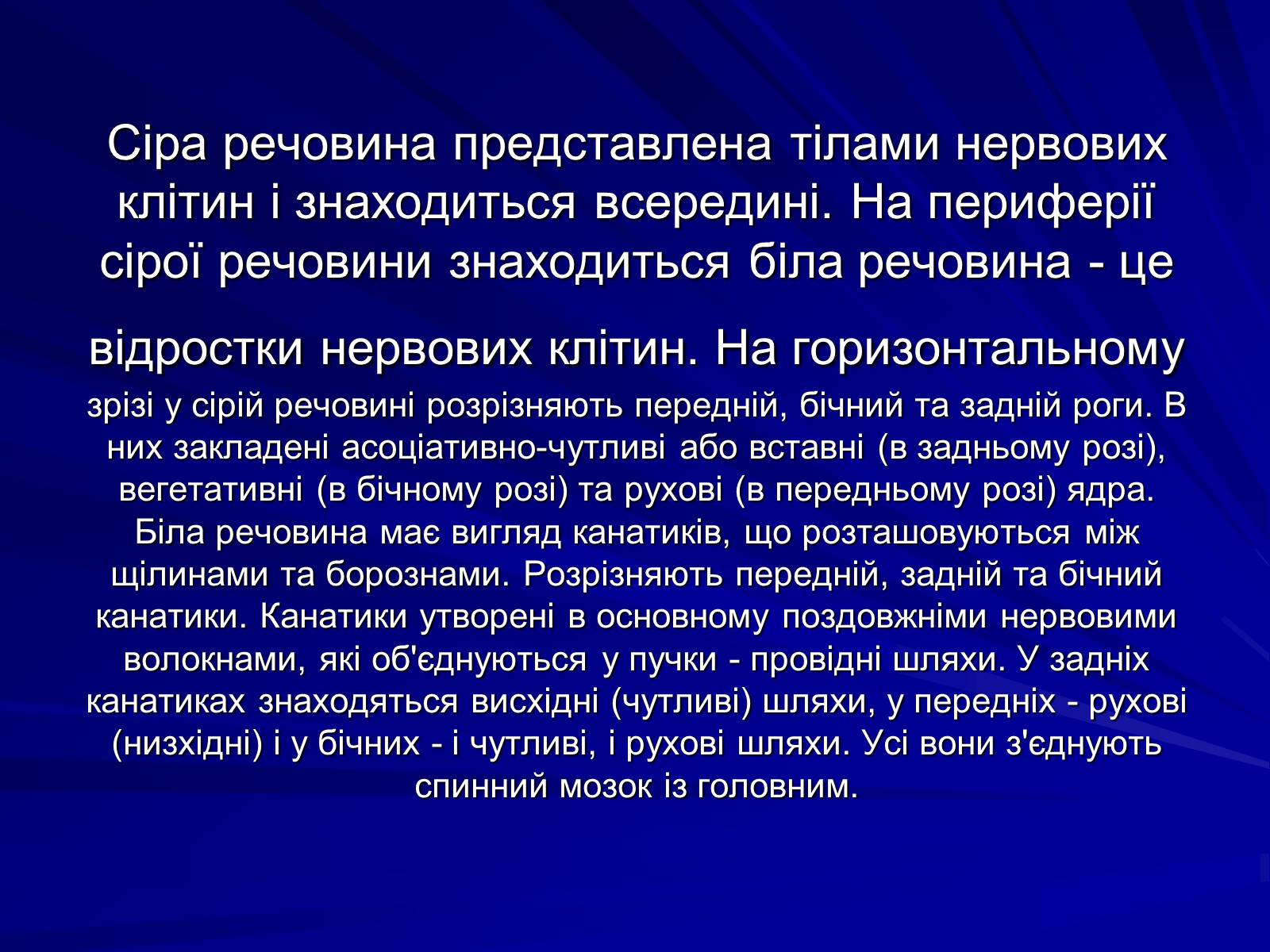 Презентація на тему «Спинний мозок» (варіант 1) - Слайд #11