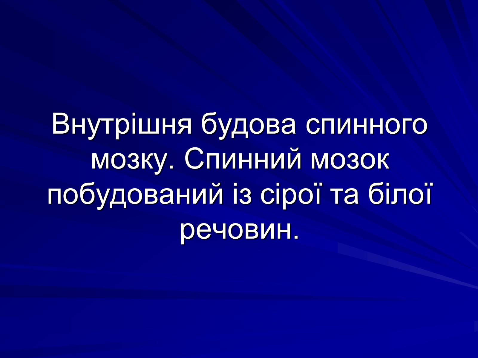 Презентація на тему «Спинний мозок» (варіант 1) - Слайд #9