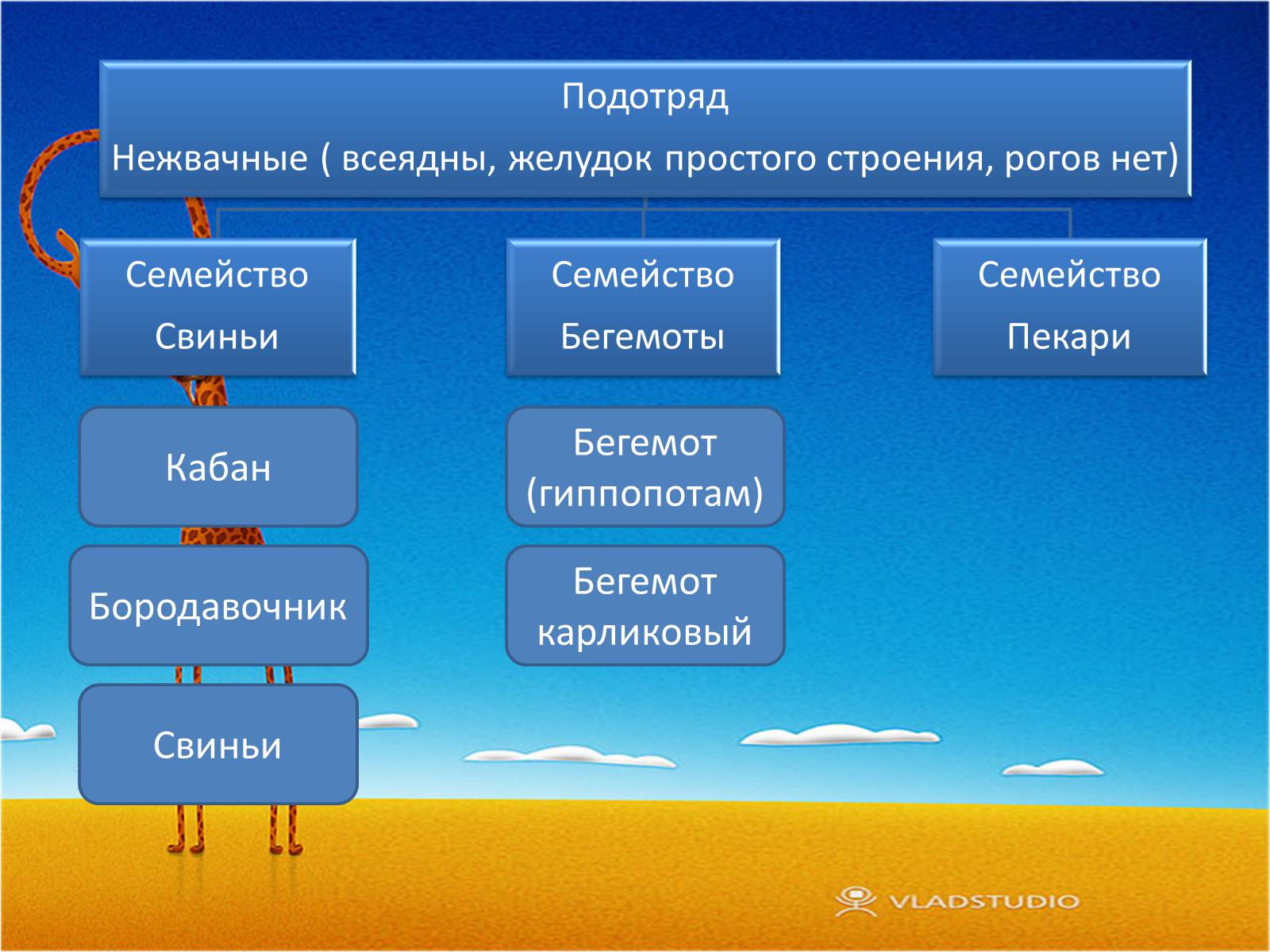 Презентація на тему «Отряд Парнокопытные» - Слайд #8