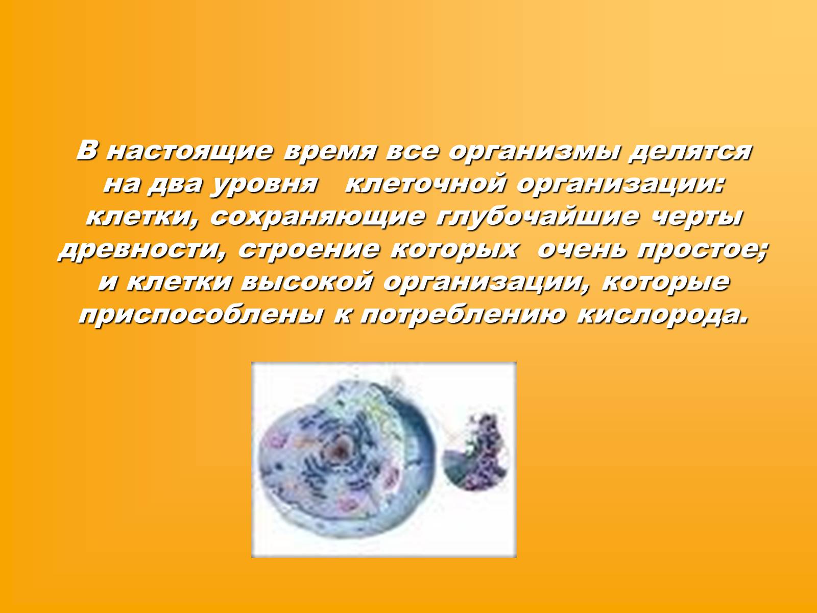 Презентація на тему «Сравнительная характеристика прокариотической и эукариотической клетки» - Слайд #2