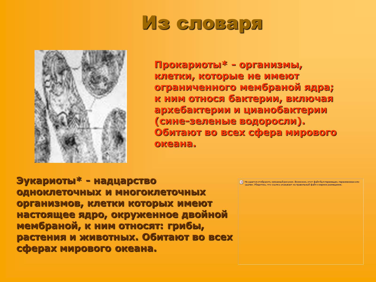 Презентація на тему «Сравнительная характеристика прокариотической и эукариотической клетки» - Слайд #3