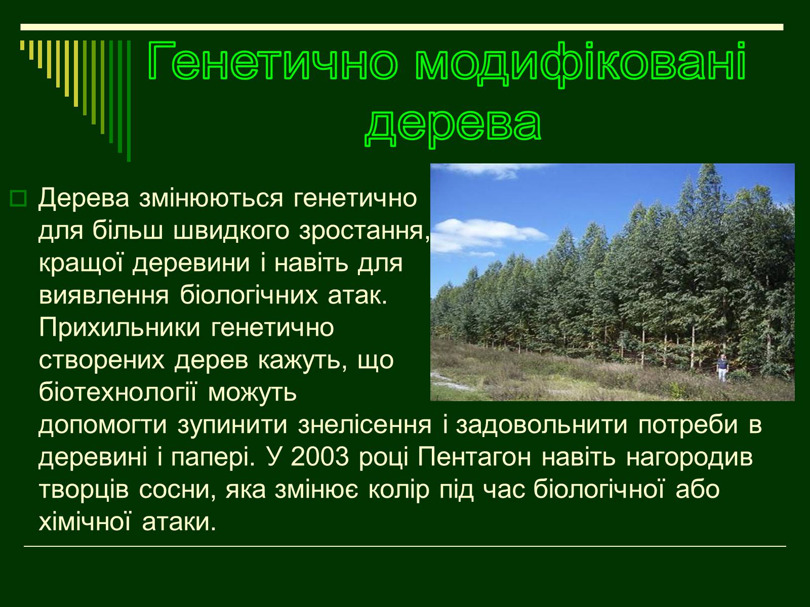 Презентація на тему «Трансгенні організми» (варіант 1) - Слайд #17