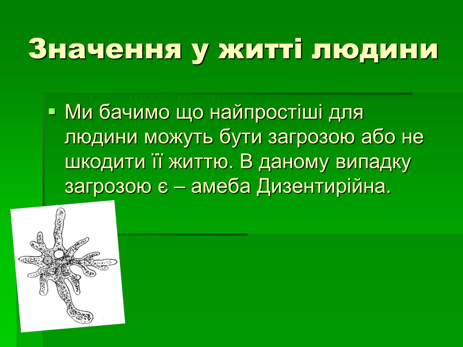 Презентація на тему «Паразитичні найпростіші» - Слайд #12