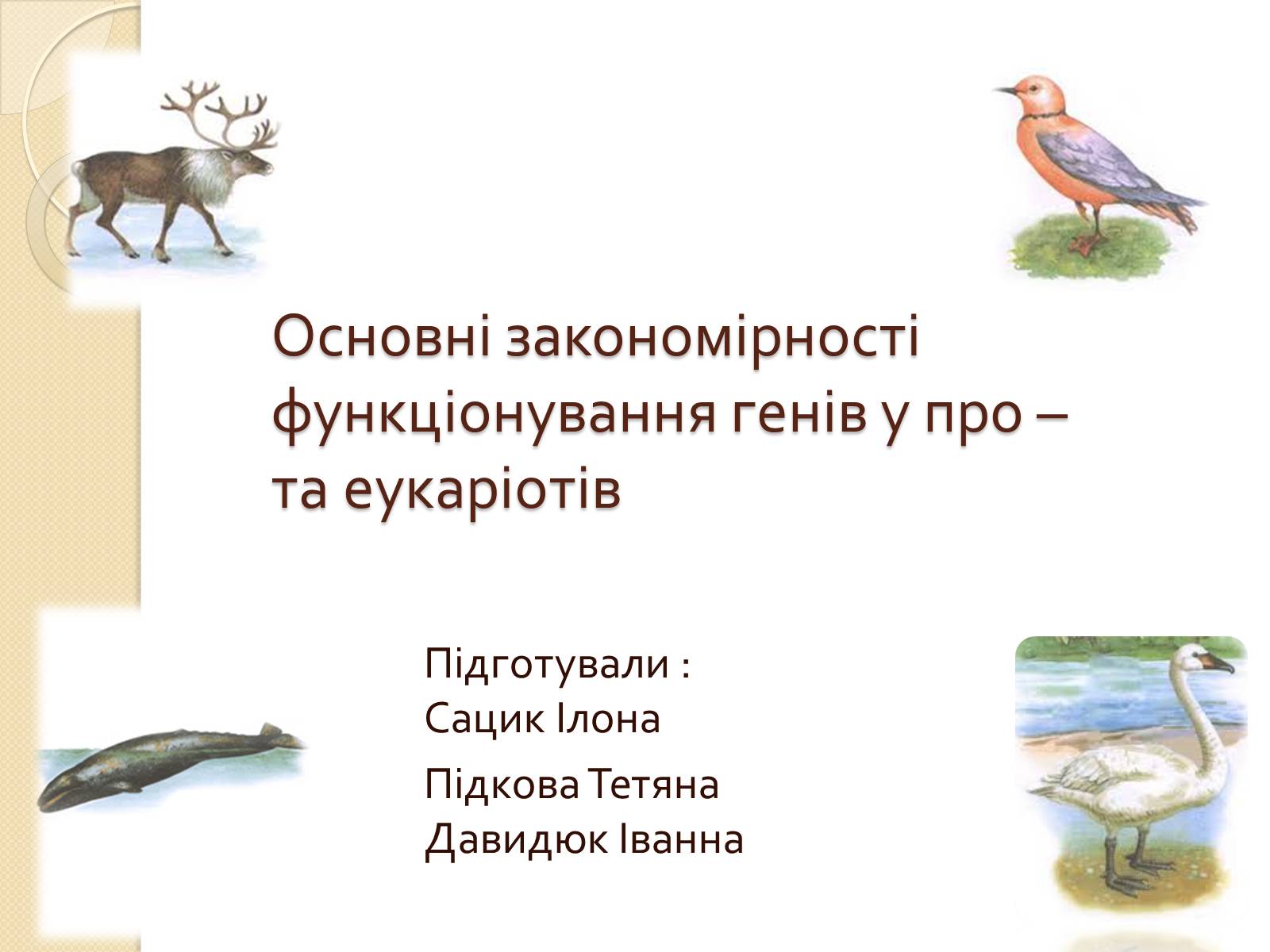 Презентація на тему «Основні закономірності функціонування генів у про – та еукаріотів» (варіант 1) - Слайд #1