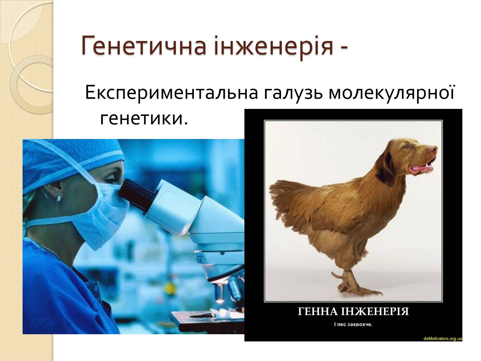 Презентація на тему «Основні закономірності функціонування генів у про – та еукаріотів» (варіант 1) - Слайд #34