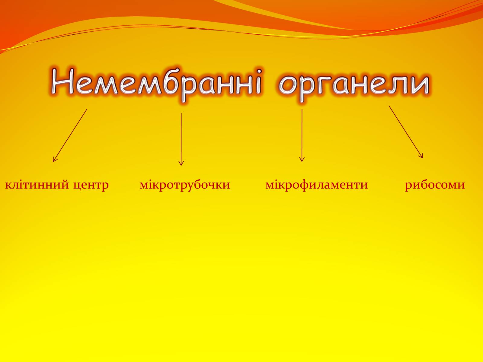 Презентація на тему «Немембранні органели» - Слайд #4