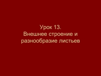 Презентація на тему «Внешнее строение и разнообразие листьев»