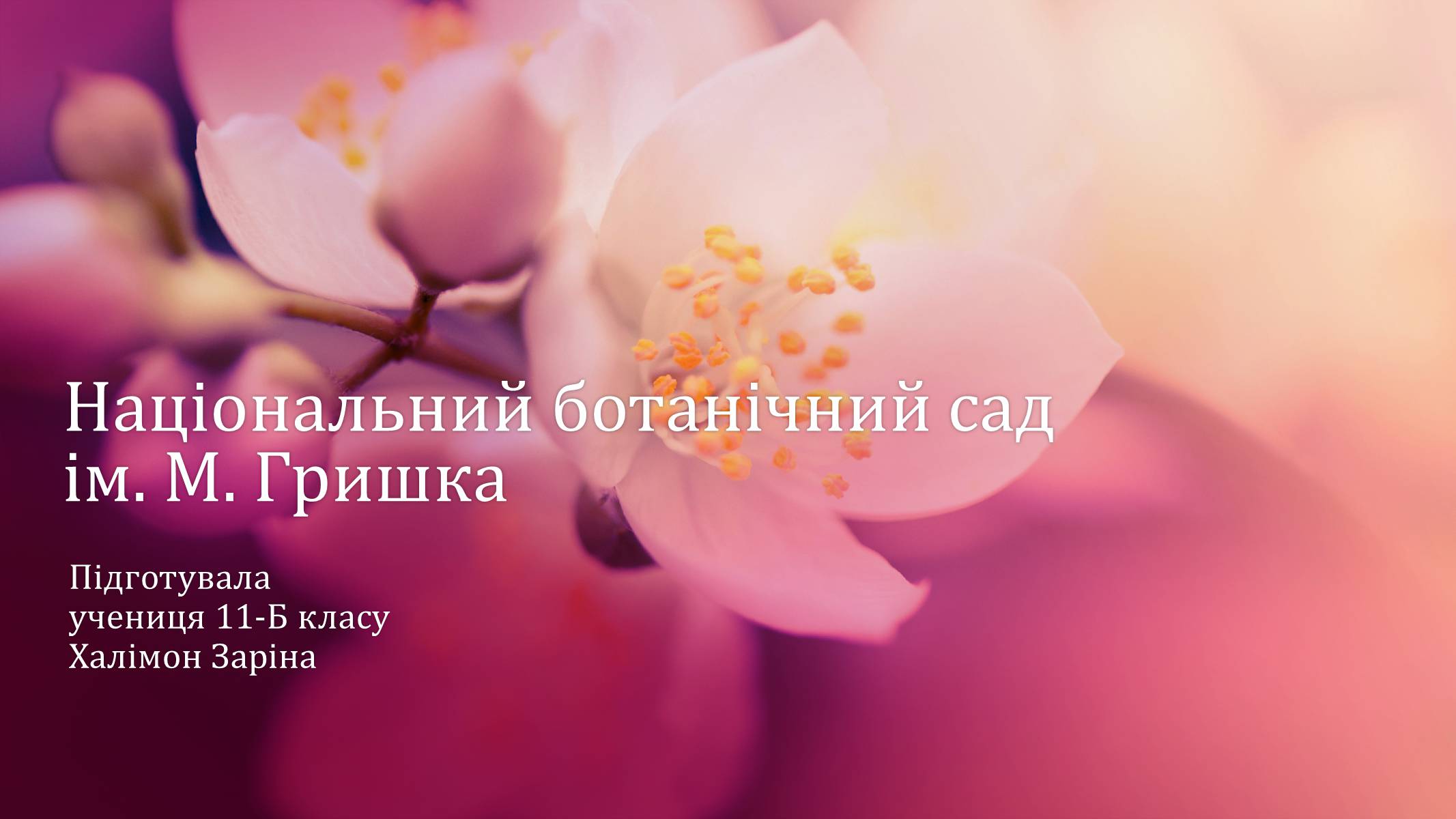 Презентація на тему «Національний ботанічний сад ім. М. Гришка» - Слайд #1