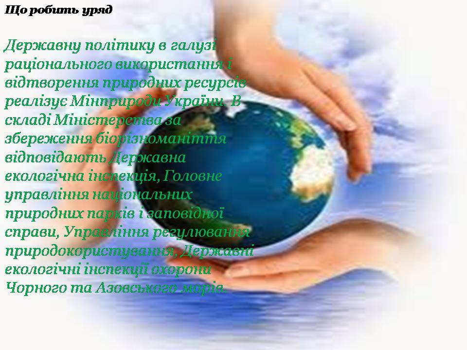 Презентація на тему «Збереження біологічного різноманіття» (варіант 2) - Слайд #4