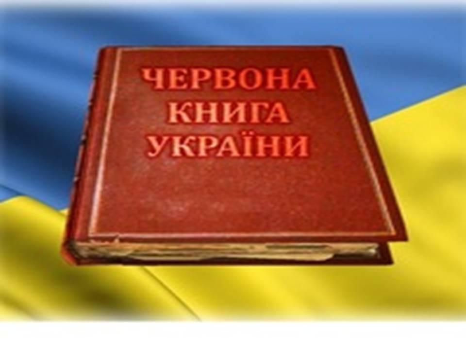 Презентація на тему «Збереження біологічного різноманіття» (варіант 2) - Слайд #9